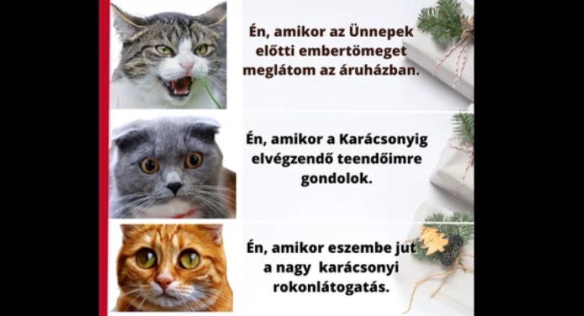 Karácsonyi kihívások szuperérzékenyeknek