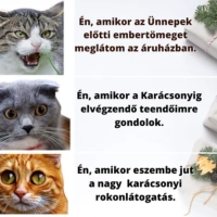 Karácsonyi kihívások szuperérzékenyeknek