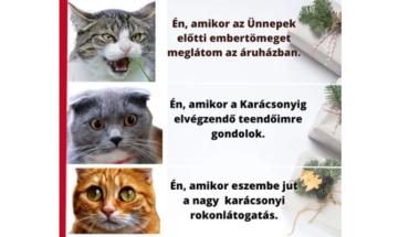 Karácsonyi kihívások szuperérzékenyeknek